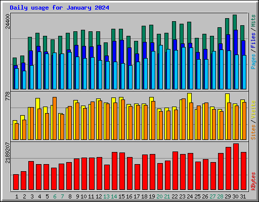 Daily usage for January 2024