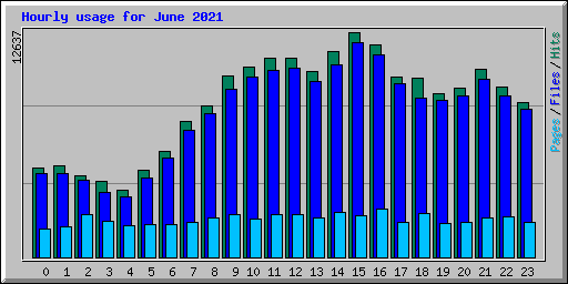 Hourly usage for June 2021