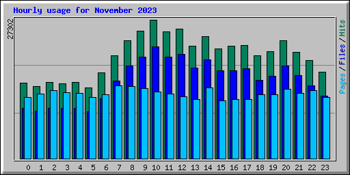 Hourly usage for November 2023