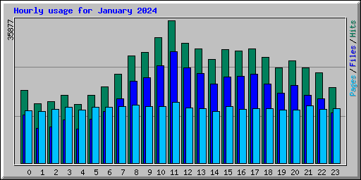 Hourly usage for January 2024