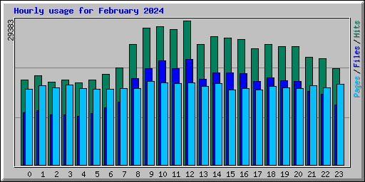 Hourly usage for February 2024