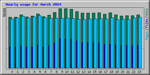 Hourly usage for March 2024