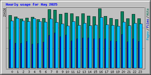 Hourly usage for May 2025