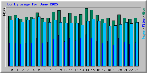 Hourly usage for June 2025