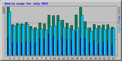 Hourly usage for July 2025