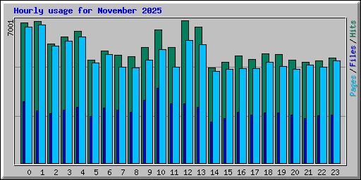 Hourly usage for November 2025