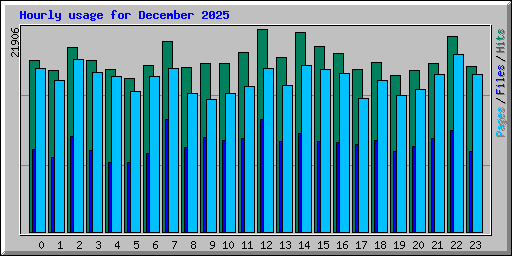 Hourly usage for December 2025