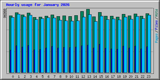 Hourly usage for January 2026